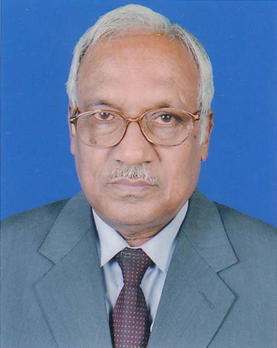 S. M. Ruhul Amin